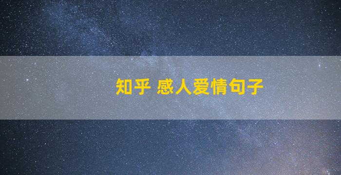 知乎 感人爱情句子